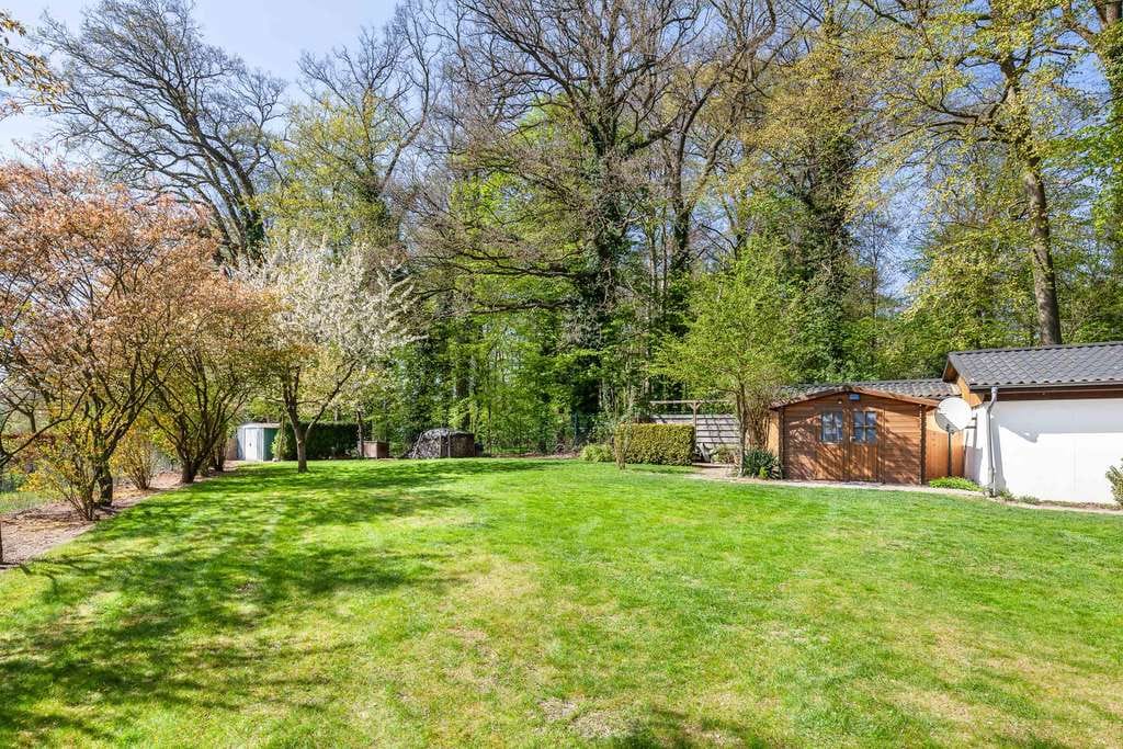 Immobilie in Berkenthin - Geräumiges Einfamilienhaus mit großem Grundstück - Courtagefrei! - Bild 4