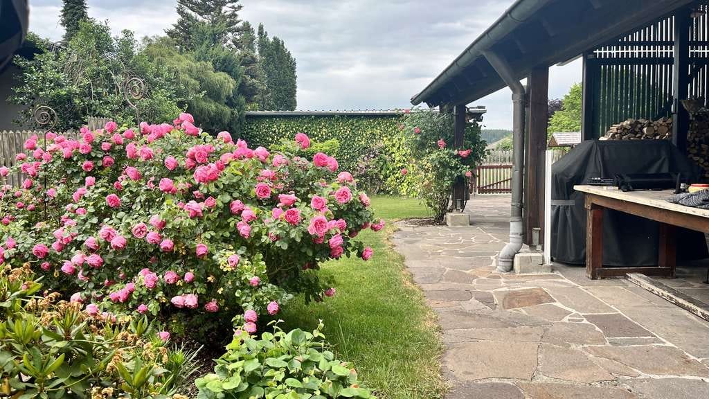 Immobilie in Bad Grönenbach - Isartaler Holzhaus in ruhiger Lage auf großem Grundstück mit Praxis - Bild 3