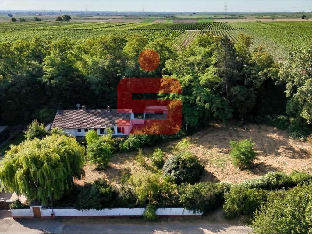 Immobilie in Gerolsheim - Freistehendes Anwesen in Panoramalage mit Erweiterungsoption - Liebhaberobjekt und Investorenchance - Bild 0