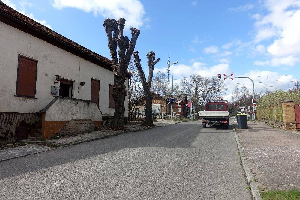 Immobilie in Plessa - Großzügiges Wohnhaus mit Gewerbeeinheit und weitläufigen Grundstück - Bild 4