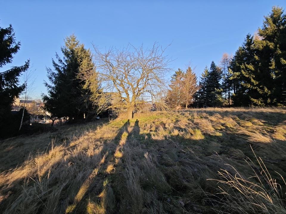 Immobilie in Bobritzsch-Hilbersdorf - Ein-bis Zweifamilienhaus in Niederbobritzsch auf großem Grundstück - Bild 0