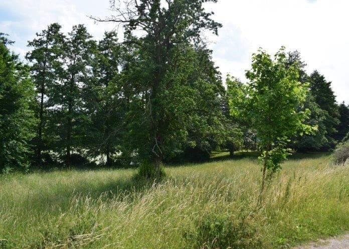 Immobilie in Blankenhain - Gemeinsam BAUEN - Kosten SPAREN!!! +++0151-10658277---Nicole Bamberger+++ - Bild 3