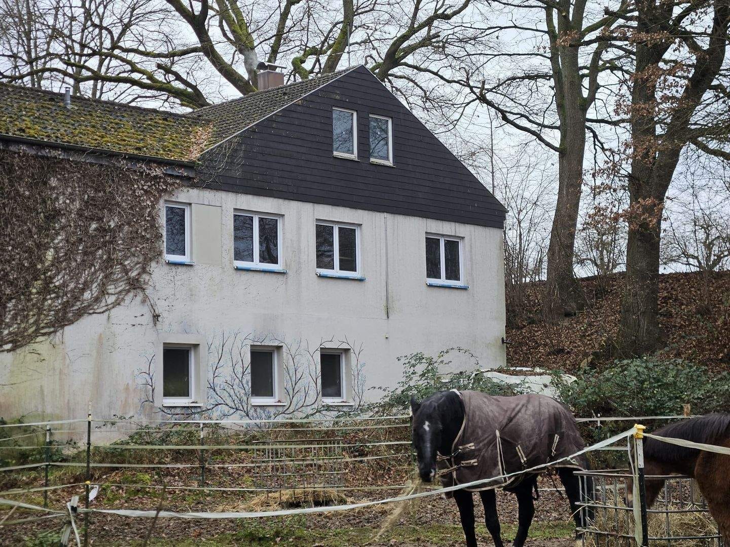 Immobilie in Mietingen - Idyllischer Pferdehof mit Wohnhaus - Bild 3