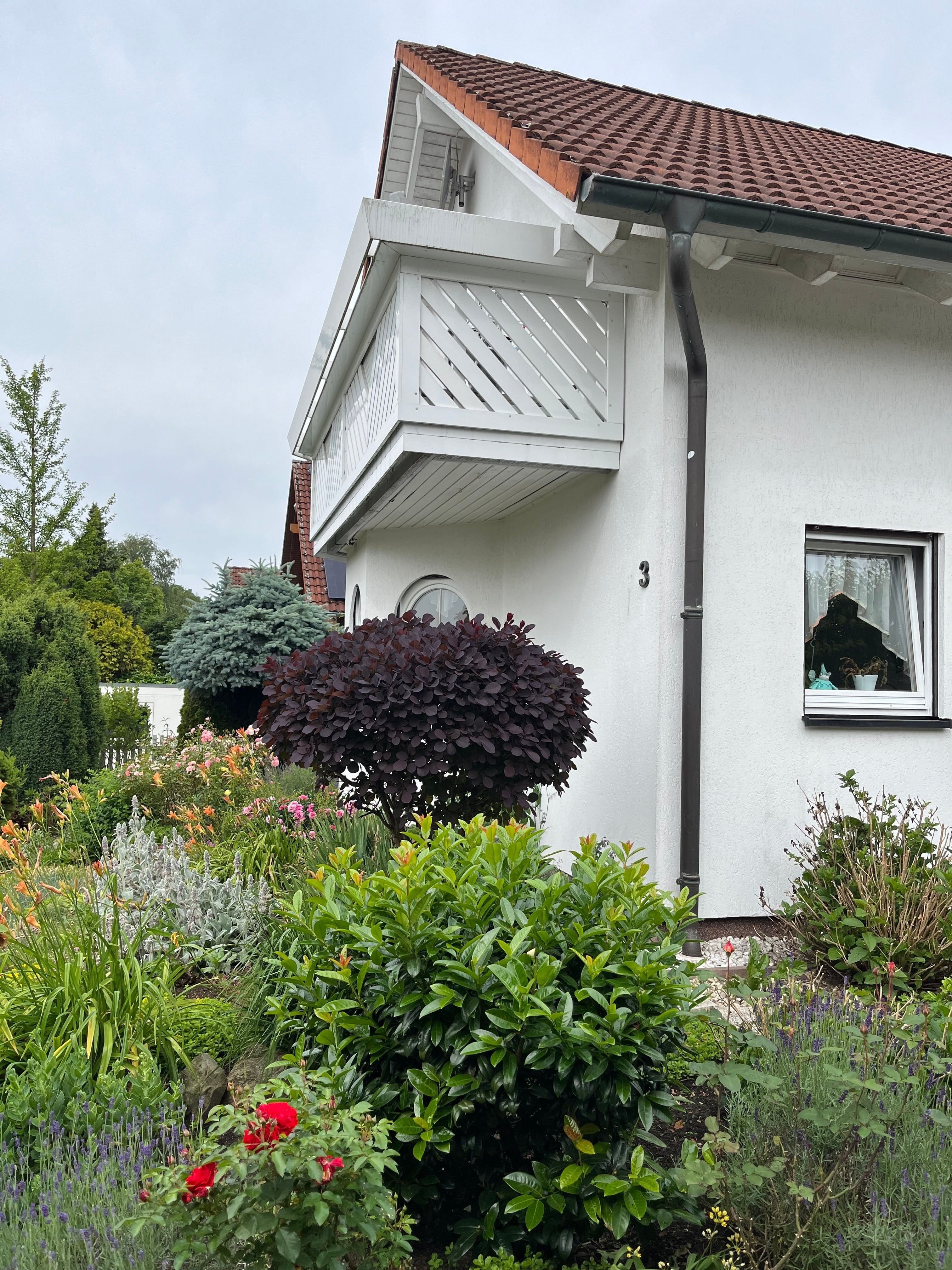 Immobilie in Dürrröhrsdorf-Dittersbach - Gepflegtes Einfamilienhaus in idyllischer Lage 20 km östlich von Dresden - Bild 1