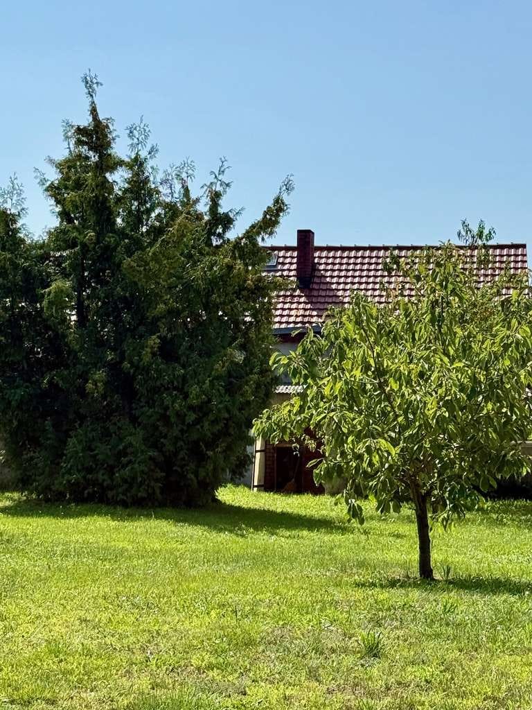 Immobilie in Neuhausen/Spree - Großzügiges Einfamilienhaus mit einem Innenhof und viel Ausbaupotenzial in Koppatz zu verkaufen! - Bild 4