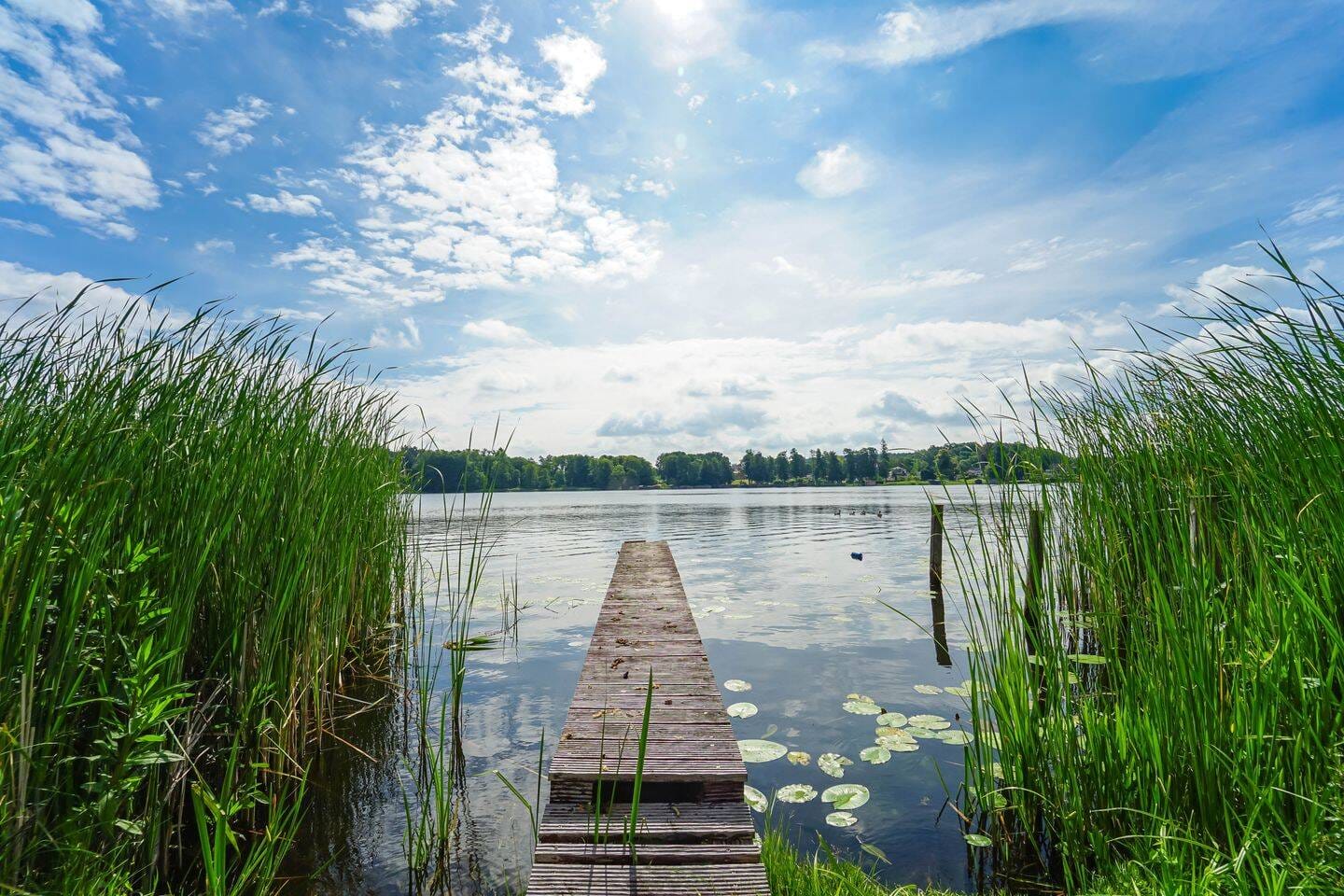 Immobilie in Fürstenberg/Havel - Seezugang & Garten! - Großzügige 4-Zimmer-Wohnung mit Balkon - Bild 3