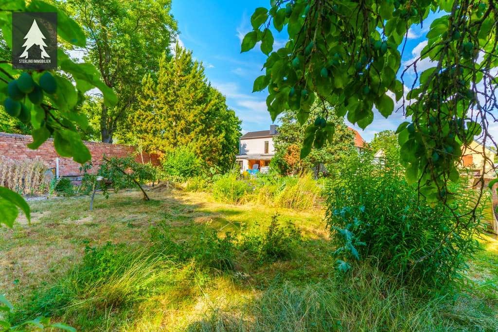 Immobilie in Südliches Anhalt - Mehr Herz als Hype – mit Substanz und wildem Garten - Bild 3
