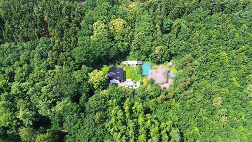 Immobilie in Weddingstedt - Natur, Ruhe & Gestaltungsspielraum – Teilsaniertes Waldhaus in einzigartiger Lage bei Weddingstedt - Bild 1