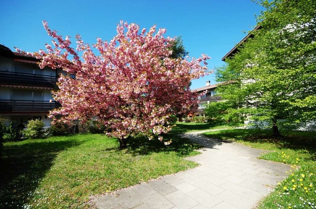 Immobilie in Bad Tölz - Attraktive 3-Zimmer-Wohnung in ruhiger Wohnlage von Bad Tölz

 - Bild 0