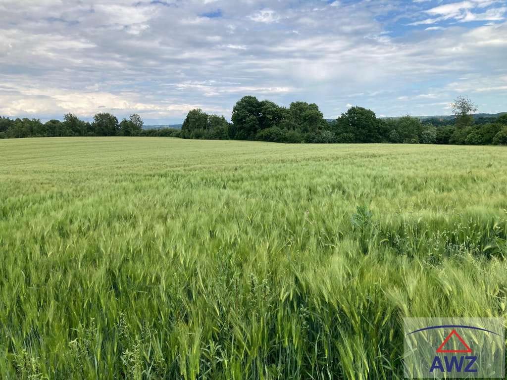 Immobilie in Kettershausen - Kleine Hofstelle (Wohnhaus) mit eventuell landwirtschaftlichen Flächen! - Bild 4