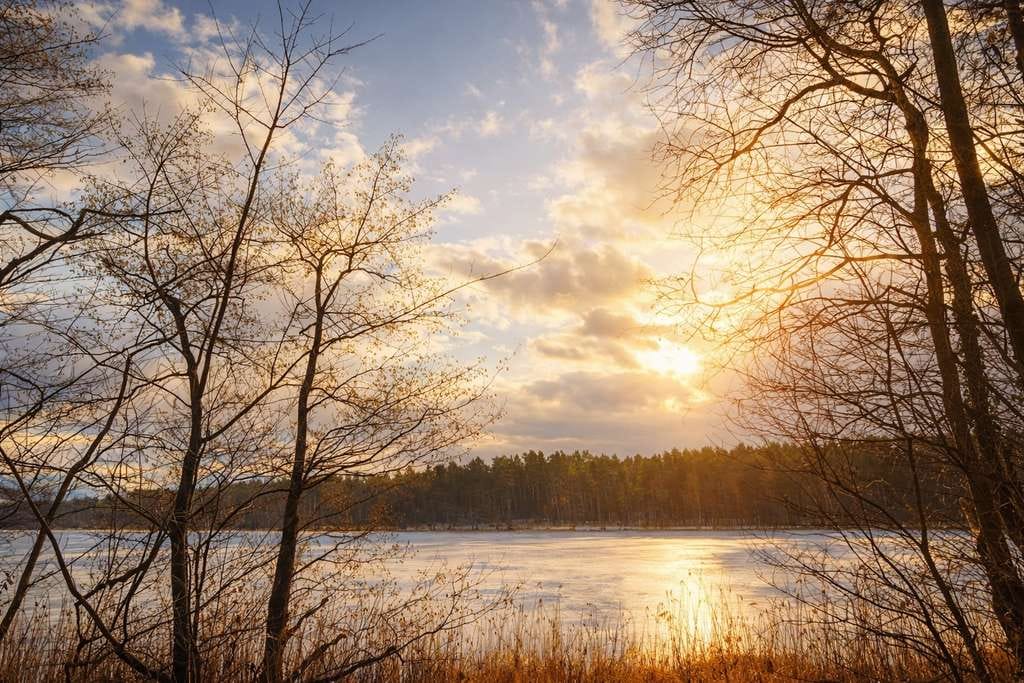Immobilie in Lindow (Mark) - Exklusives Wohnen zwischen Seeufer und Waldlandschaft - Bild 1