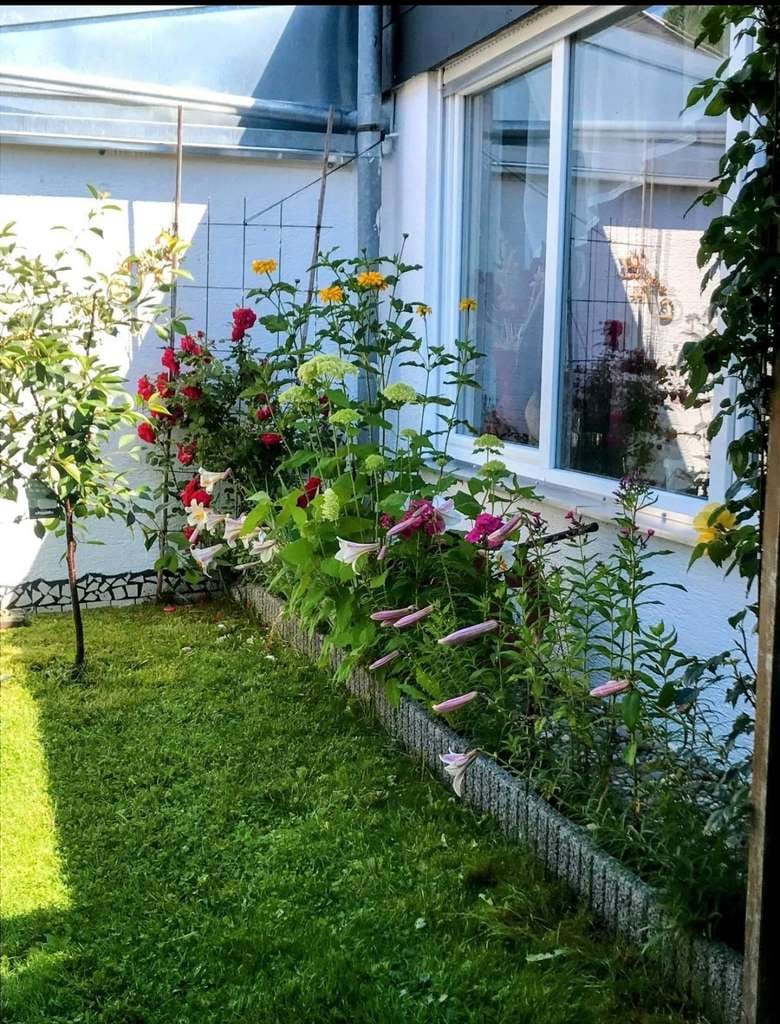 Immobilie in Bingen - Ihr neues Zuhause: Gepflegtes Reihenhaus mit viel Potenzial - Bild 0