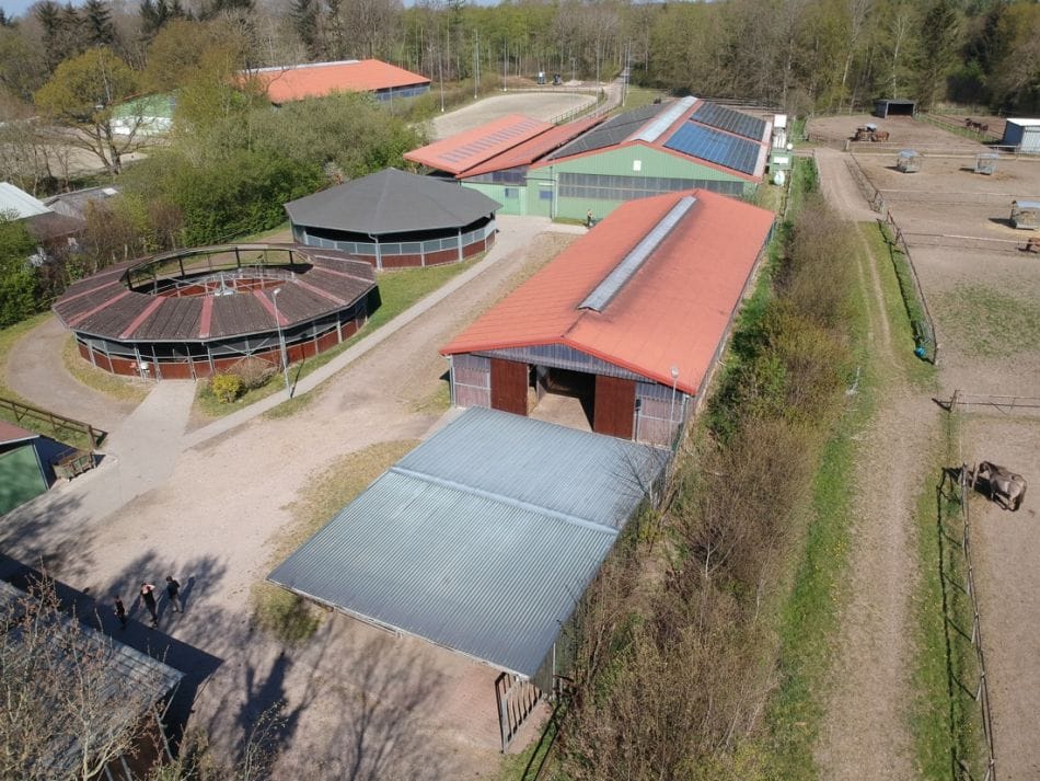 Immobilie in Nordhastedt - Vorbildliche Reitanlage zum Top-Preis !
inklusive großzügigem Wohnhaus
bei Heide - Holstein - Bild 1