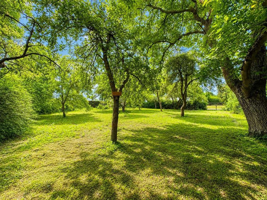 Immobilie in Blankensee - Sanierungsbedürftige alte Schule mit separatem Gästehaus in der Feldberger Seenlandschaft zu verkauf - Bild 4
