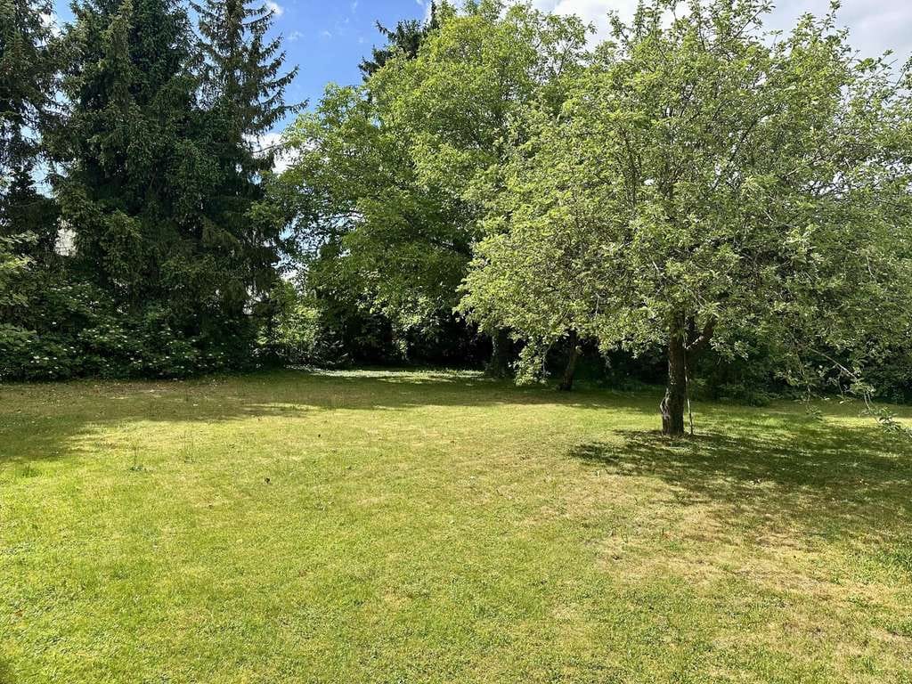 Immobilie in Alteglofsheim - Kein Haus von der Stange - Bild 2