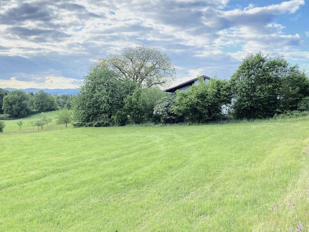 Immobilie in Fürstenstein - Großzügiges Einfamilienhaus mit unverbaubarer Aussicht und großem Garten - Bild 1