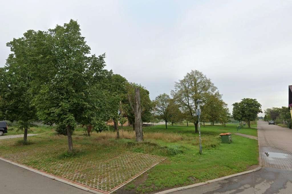 Immobilie in Alperstedt - Das moderne Doppelhaus mit Charme und Charakter in Alperstedt - Bild 2