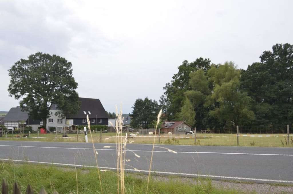 Immobilie in Geringswalde - Wohnen mit Weitblick: unverbaubares Grundstück - Bild 1