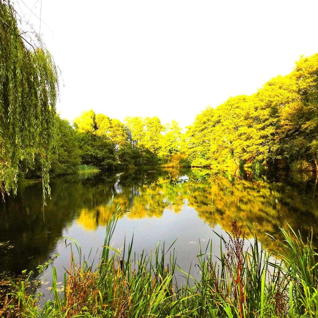 Immobilie in Großenwiehe - Traumhaus am See - Bild 0