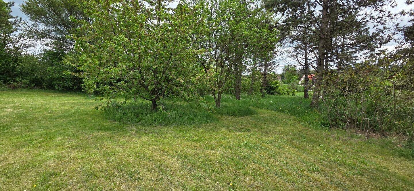 Immobilie in Markt Bibart - Bungalow ( stark sanierungsbedürftig) in schöner Lage mit riesigem Garten - Bild 3