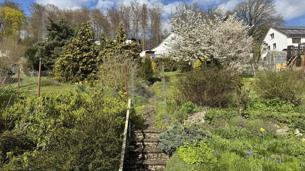 Immobilie in Einbeck - Ihr neues Zuhause mit Weitblick und Gartenparadies
 - Bild 3