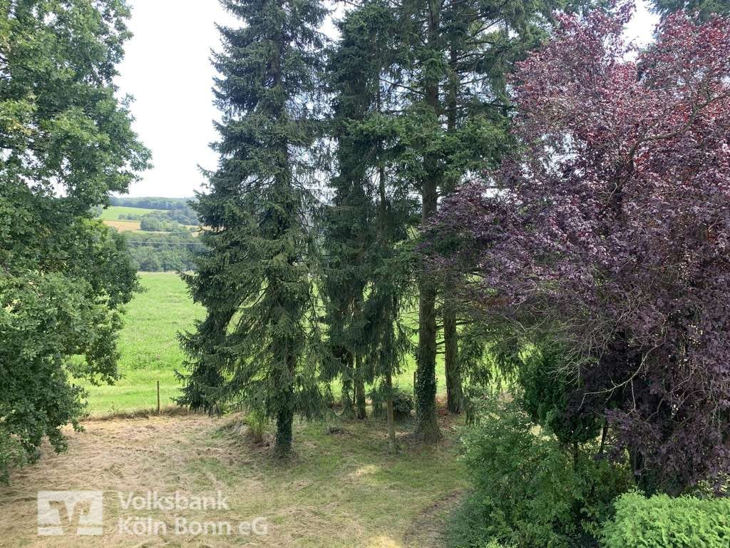 Immobilie in Asbach - Asbach - Traumhaus mit viel Platz und idyllischem Grundstück - Bild 4