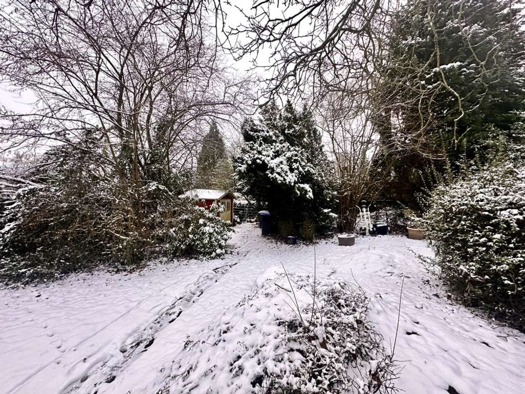 Immobilie in Scharbeutz - Wohnen im alten Garten - DHH mit Charme - Bild 4