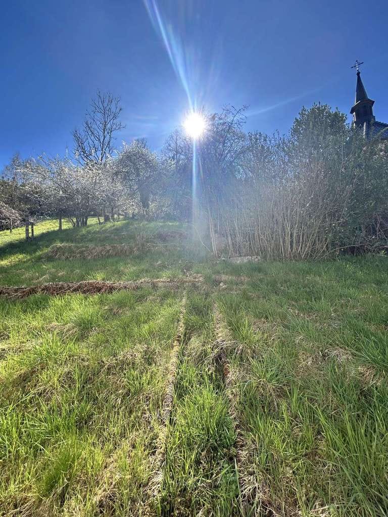 Immobilie in Schramberg - Preiswert wohnen mit großem Grundstück und herrlicher Aussicht! - Bild 4