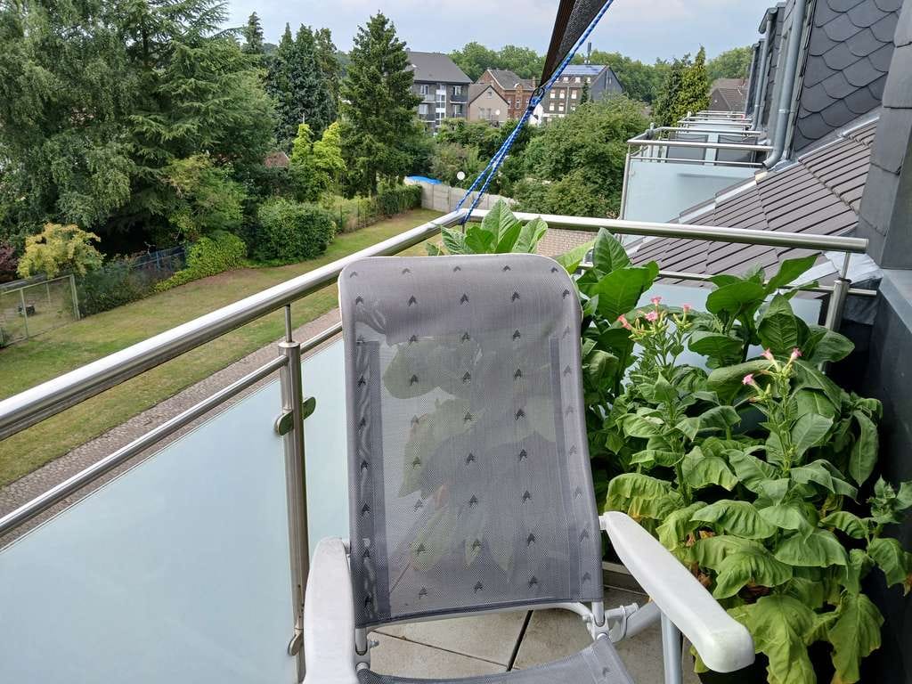 Immobilie in Ratingen - Kapitalanleger aufgepasst | 4x Vier-Zimmer-Wohnungen mit Balkon in Ratingen - Bild 1