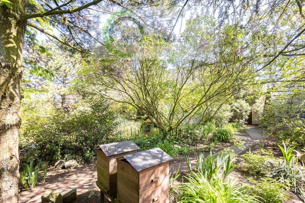 Immobilie in Neuenkirchen-Vörden - 280 m² Wohnfläche & traumhaft parkähnlicher Garten in ruhiger Wohnlage - Bild 5