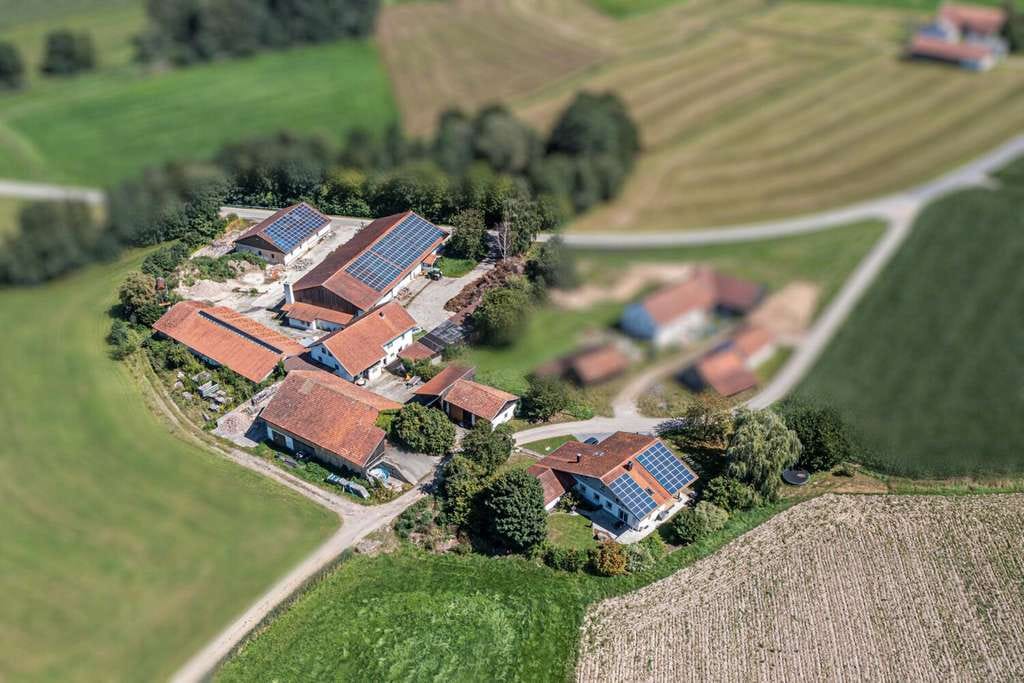 Immobilie in Arnschwang - Weitläufiges Grundstück, Wohnhaus mit vielseitigen Hallen, Scheunen und PV-Power - Bild 3