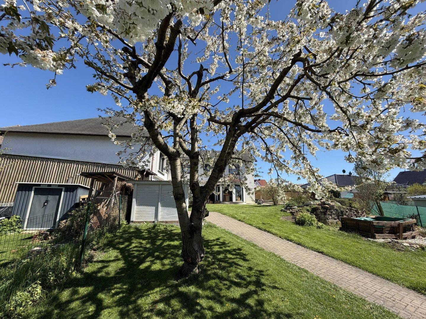 Immobilie in Bad Sulza - Platz für die ganze Familie! Tolles Einfamilienhaus im Grünen zwischen Jena und Apolda! - Bild 4