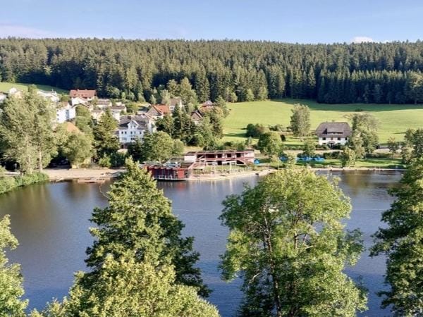 Immobilie in St. Georgen im Schwarzwald - *** St. Georgen - Großes 1- bis 2-Familien-Wohnhaus mit Blick auf den Klosterweiher! *** - Bild 2