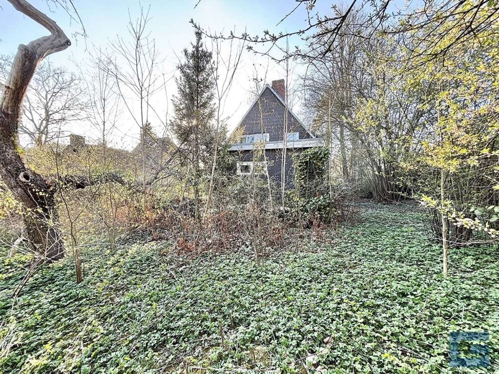 Immobilie in Molfsee - Natur pur trifft Neubauvision! – Großes Grundstück mit Abrisshaus! - Molfsee - Bild 2