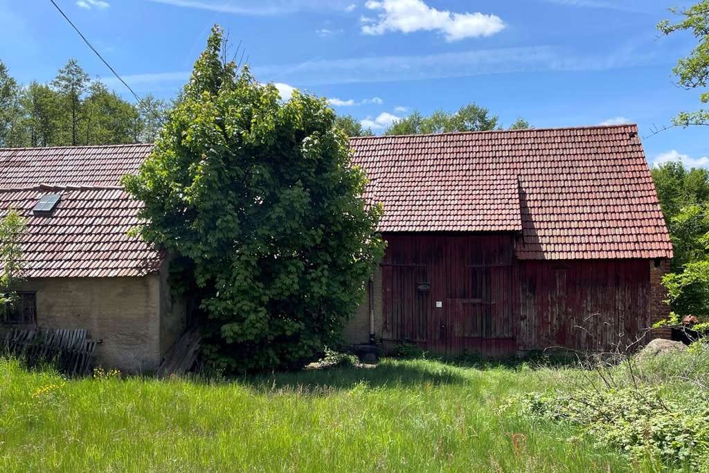 Immobilie in Löbau - Doppelhaushälfte mit Nebengebäude und Grundstück - Bild 3