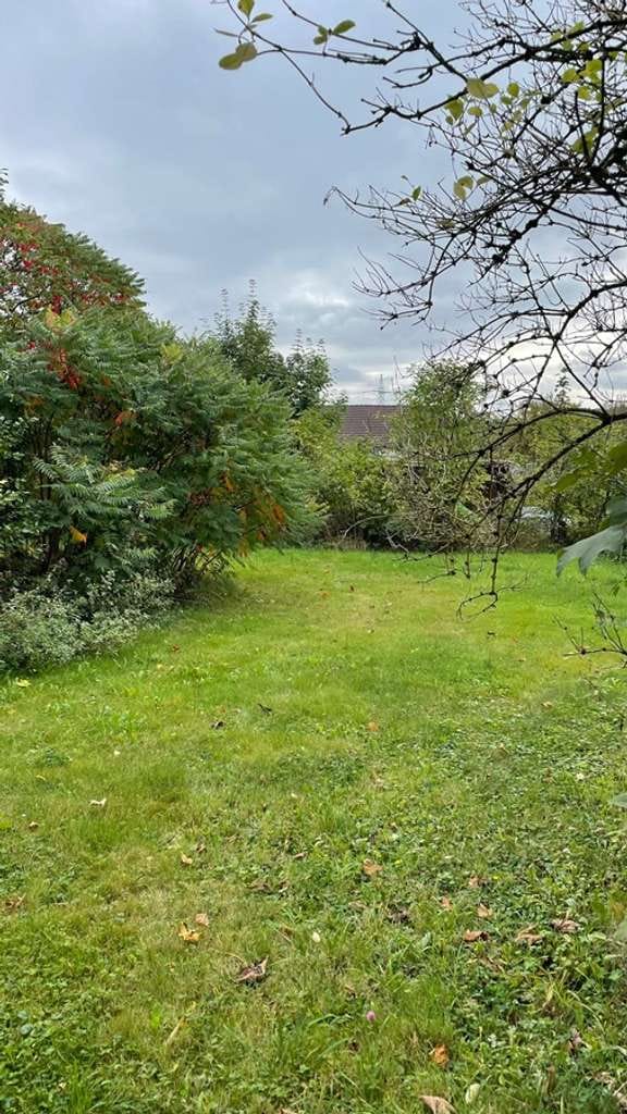 Immobilie in Pfaffenhofen an der Roth - Provisionsfrei! Einfamilienhaus mit Halle - Bild 4