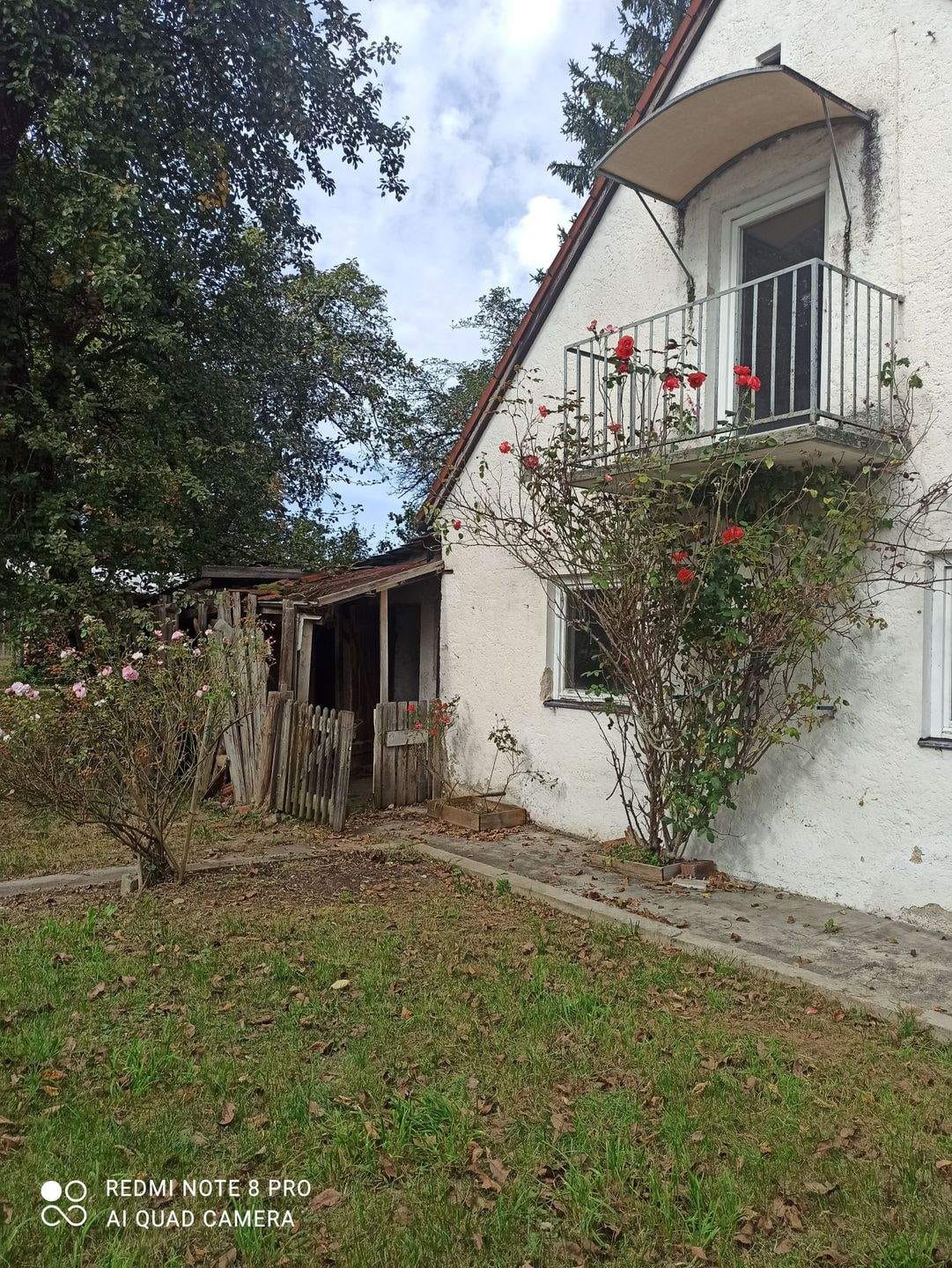 Immobilie in Bad Birnbach - kleines Einfamilienhaus bei Bad Birnbach - Bild 0