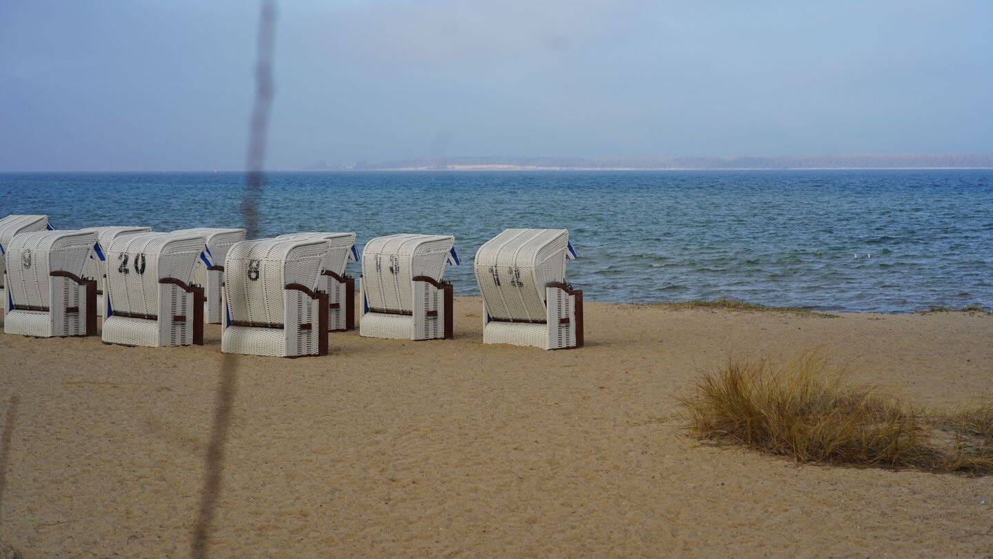 Immobilie in Hohenkirchen - Zwei möblierte Wohnungen in historischem Gutshaus nahe der Ostsee - Bild 1