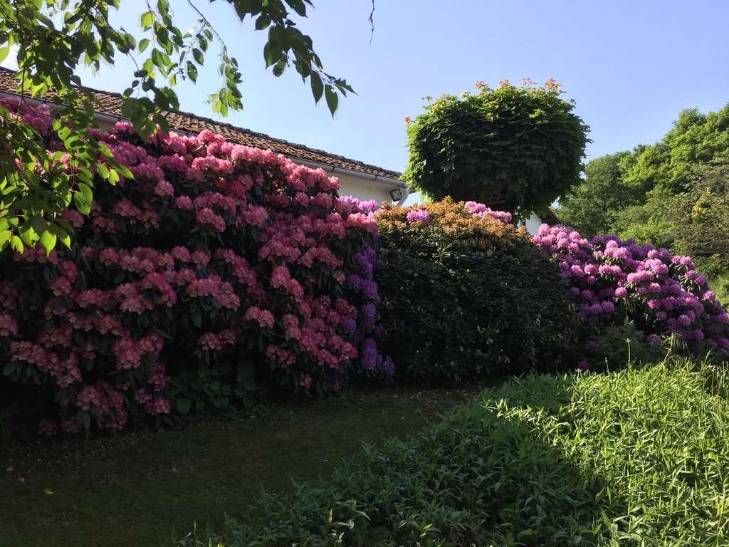 Immobilie in Heidenrod - Tolle Gelegenheit - Einziehen & wohlfühlen! Großes Einfamilienhaus mit großem Garten und Kamin - Bild 2