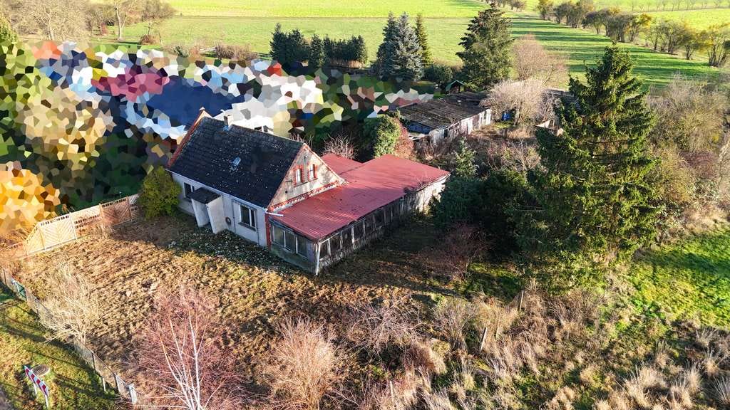 Immobilie in Iden - Sanierungsbedürftiges Haus mit großem Grundstück in Ortsrandlage - Bild 0