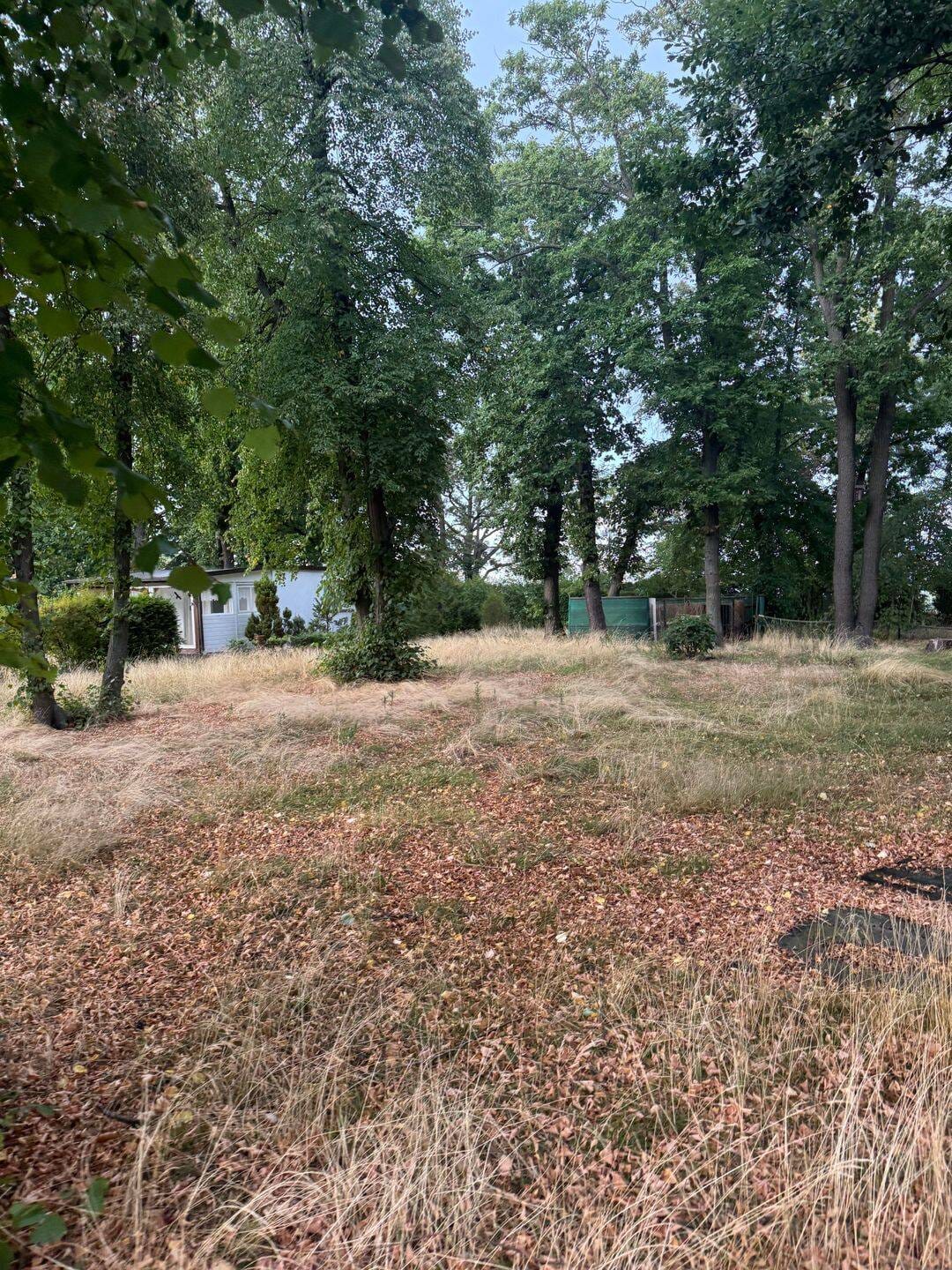 Immobilie in Weißenfels - Haus in Bestlage mit Baumbestand - Bild 3