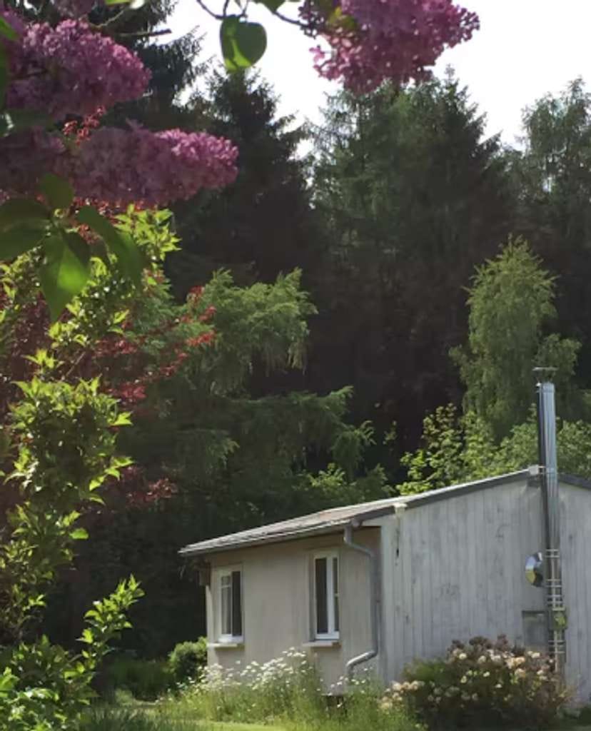 Immobilie in Großschirma - Rückzugsort am Wald – 1500 qm Freizeitgrundstück mit zwei Häusern - Bild 3