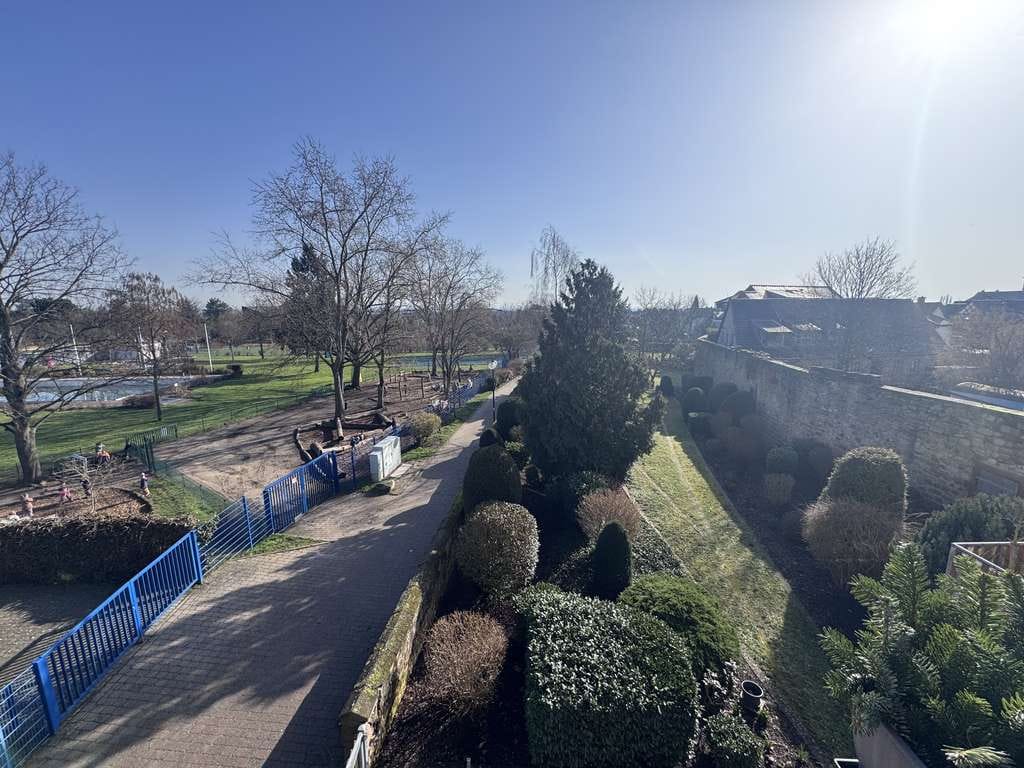 Immobilie in Wachenheim an der Weinstraße - Ein Traum für Kapitalanleger mit Zukunftsplanung - Bild 0