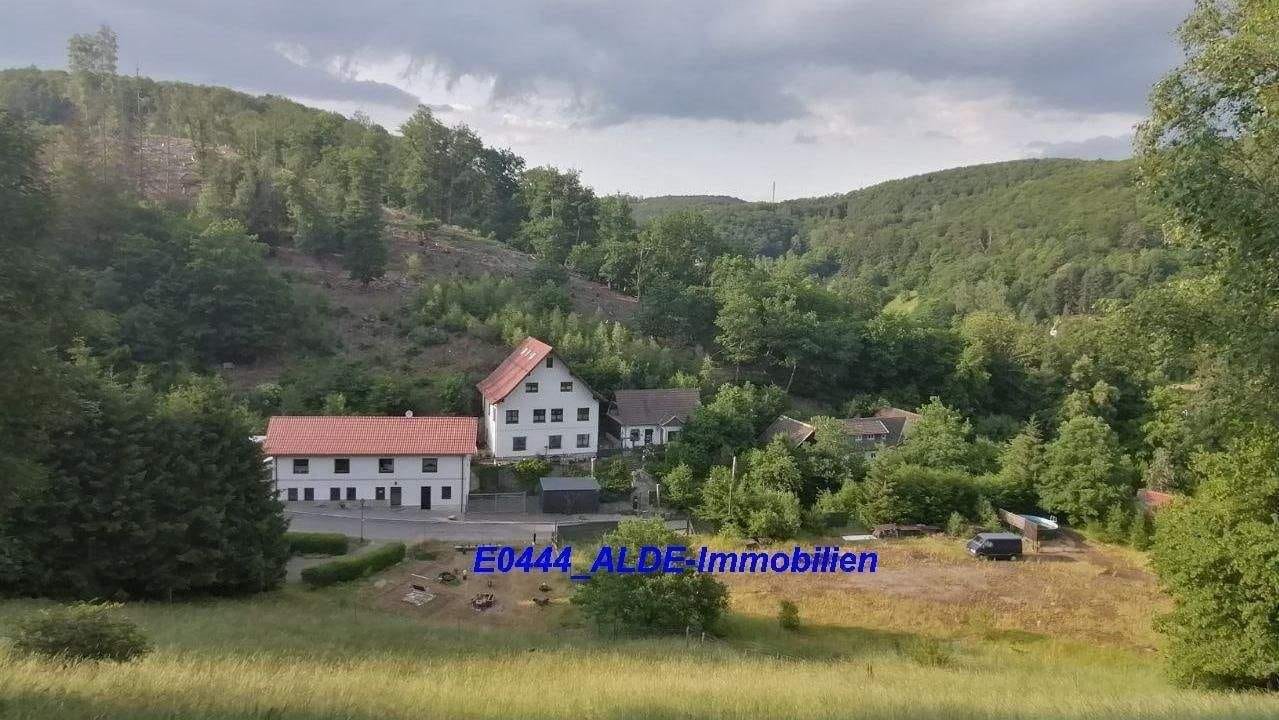 Immobilie in Südharz - Idyllische Familienresidenz & Investitionsobjekt für Fitness & Tourismus im Harz, Berge & Wald, großes Grundstück - Bild 0