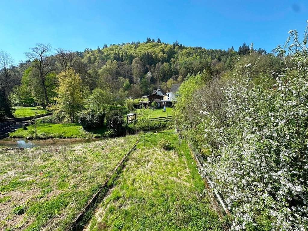 Immobilie in Hinterweidenthal - Ein Haus zum attraktiven Preis, viele Möglichkeiten – Wohnen, Arbeiten oder Vermieten im Pfälzerwald - Bild 2