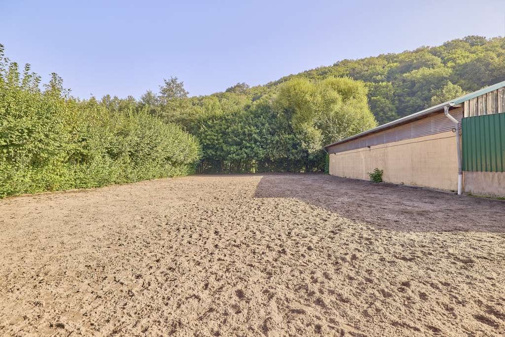 Immobilie in Niederhambach - Pferdehof in Rheinland-Pfalz mit 8 Pferdeboxen und kleiner Halle in Niederhambach! - Bild 2