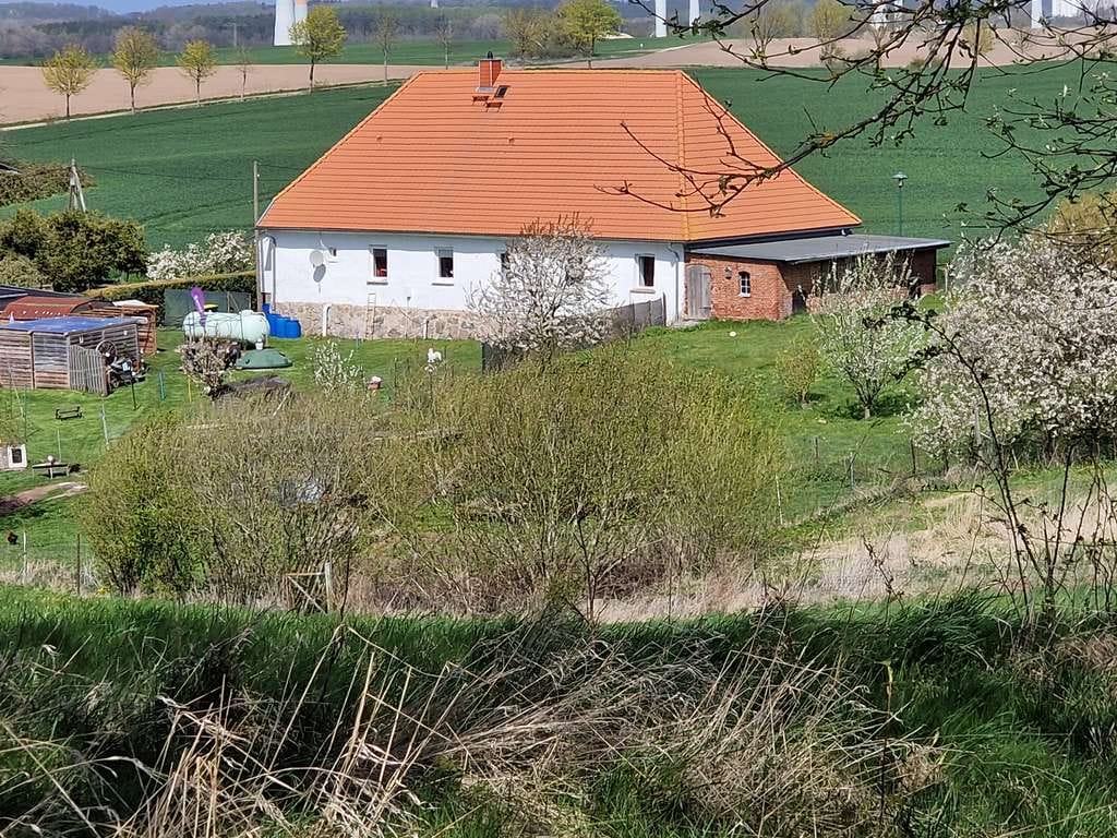Immobilie in Carinerland - Einfamilienhaus mit vermieteter Einliegerwohnung - Bild 1