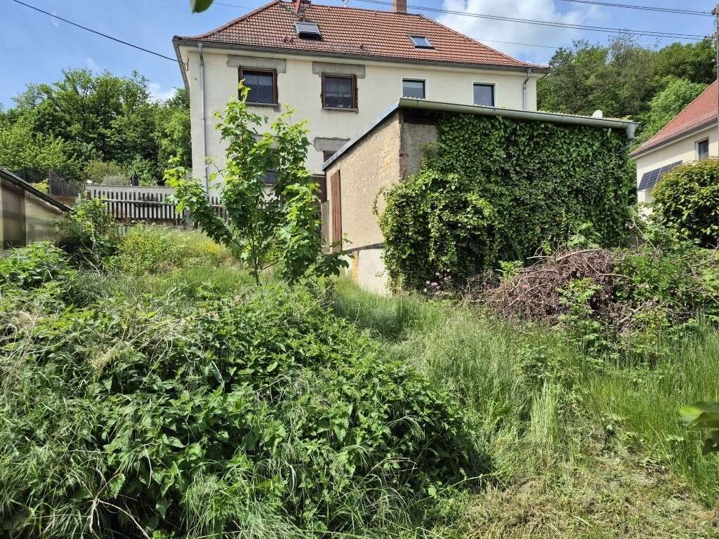 Immobilie in Döbeln - Reihenendhaus mit großem, grünem Garten - Bild 3