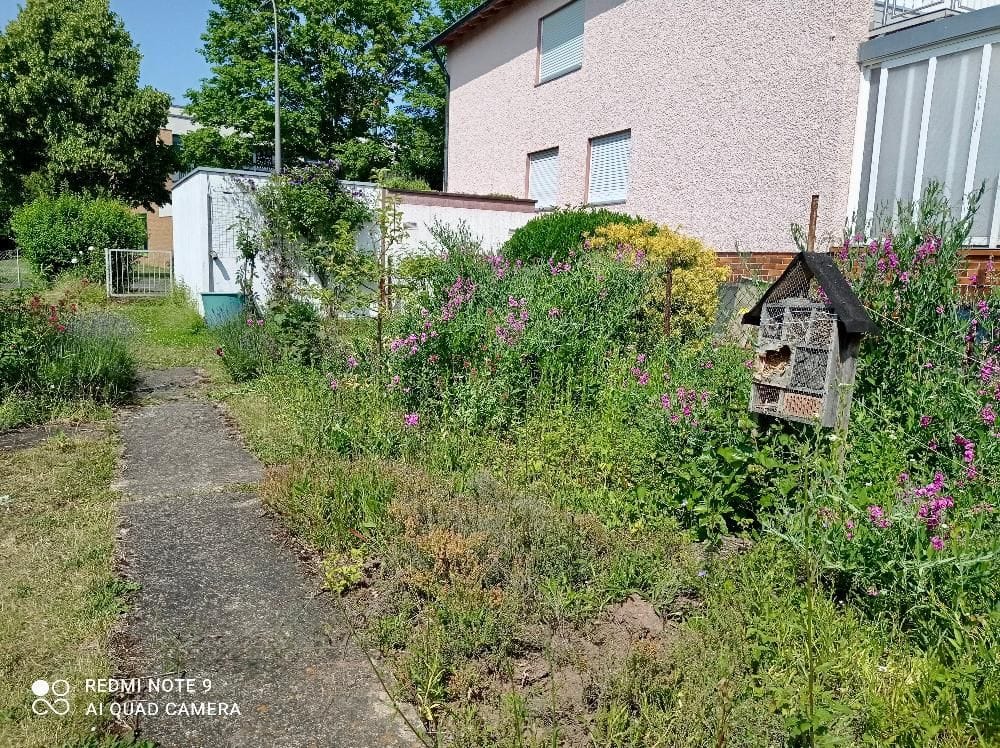 Immobilie in Schweinfurt - DHH mit Garage auf großem Grundstück in der Gartenstadt zu verkaufen - Bild 3