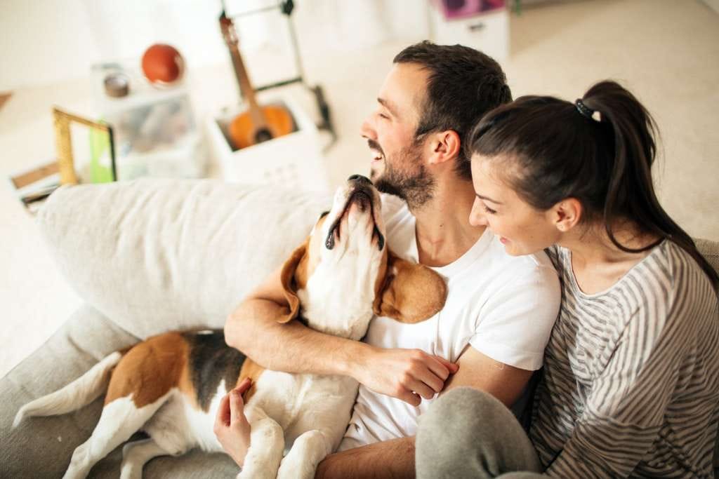 Immobilie in Doberlug-Kirchhain - Bauen zum halben Preis? Nicht möglich? doch bei massa Haus - Bild 0